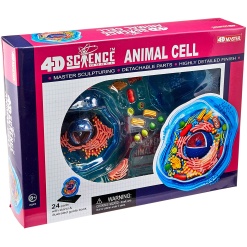 4D Science Animal Cell Model by TEDCO