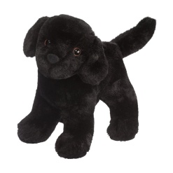Abraham Black Lab 8 by Douglas