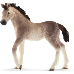 Andalusian Foal by Schliech