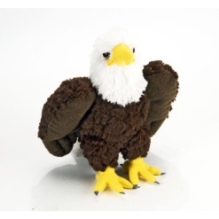Bald Eagle 8 by Wild Republic