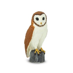 Barn Owl by Safari