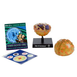 Bio Signs White Blood Cell by TEDCO