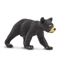Black Bear Cub by Safari