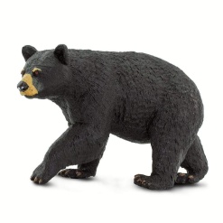 Black Bear by Safari
