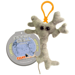 Brain Cell Keychain by Giant Microbes