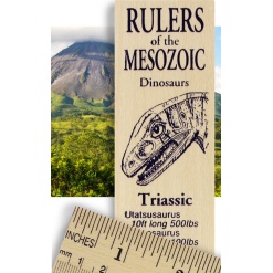 Dinosaur Rulers by Rich Frog