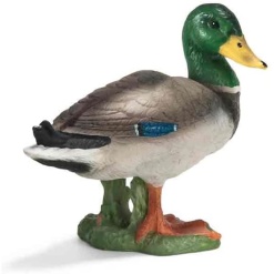 Duck by Schliech