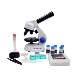 Duo Scope by C A Scientific