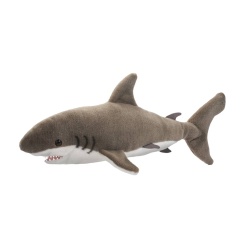 Fin Great White Shark 22 by Douglas