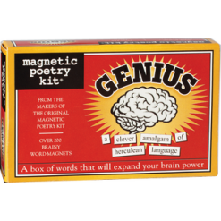 Genius Magnetic Poetry by Magnetic Poetry