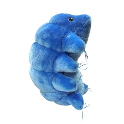 Gigantic Watebear Tardigrade by Giant Microbes