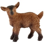Goat Kid by Schliech