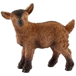 Goat Kid by Schliech
