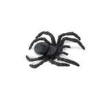 Good Luck Mini Spider