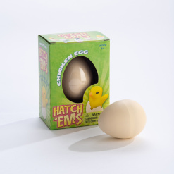 Hatchems Chick by Geo Central