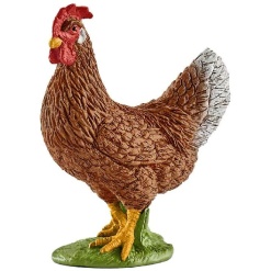 Hen by Schliech