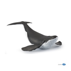 Humpback Whale Calf by Papo