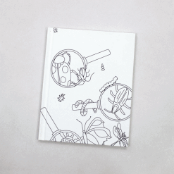 Insects Bare Book by Treetop Publishing