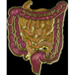 Intestine Pin by WM Spear Designs