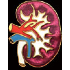 Kidney Pin by WM Spear Designs