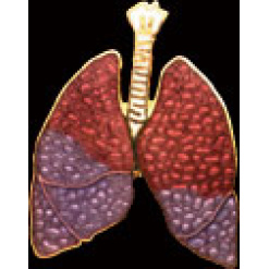 Lungs Pin by WM Spear Designs