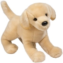 Mandy Yellow Lab 16 by Douglas