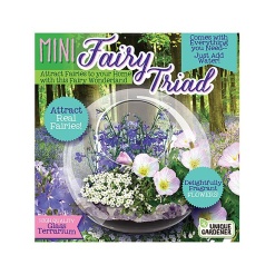 Mini Fairy Triad Terrarium by Dunecraft