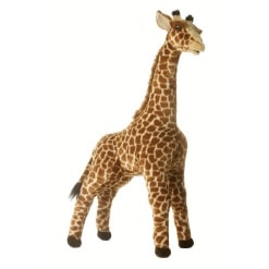 Miyoni Giraffe Acacia 31 by Aurora