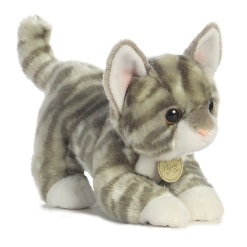 Miyoni Grey Tabby Kitten 9 by Aurora