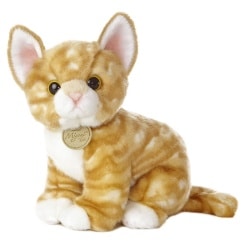 Miyoni Orange Tabby Kitten 9 by Aurora