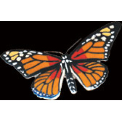 Monarch Butterfly Pin by WM Spear Designs