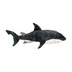 Neptune Blue Shark 17 by Douglas