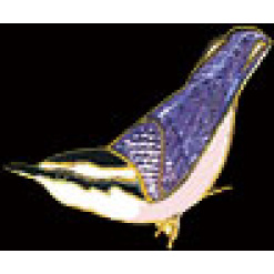 Nuthatch Pin by WM Spear Designs