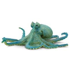 Octopus by Safari