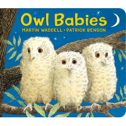 Owl Babies by Candlewick