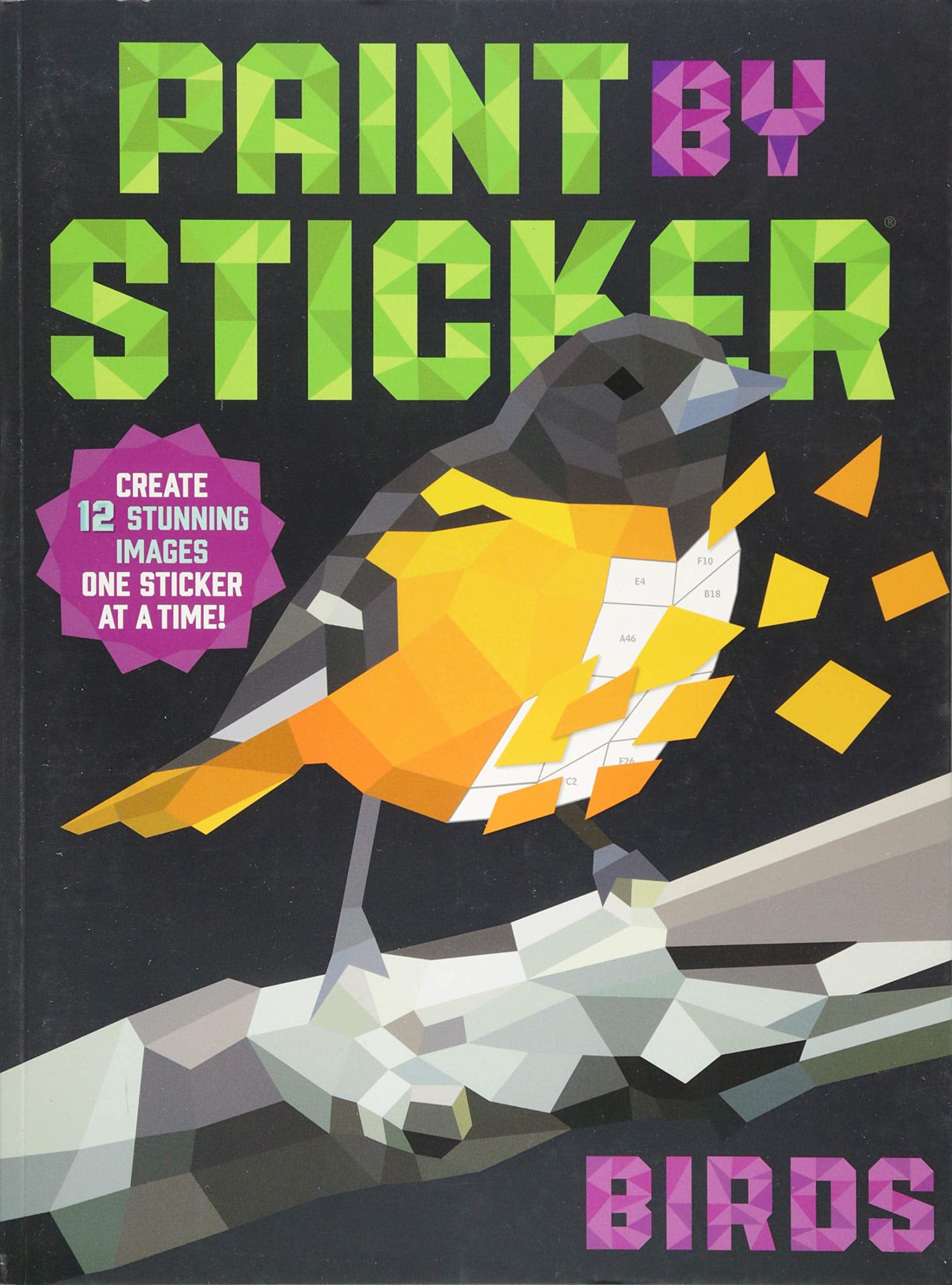 Paint by Sticker Birds by Workman