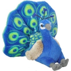 Peacock 8 by Wild Republic