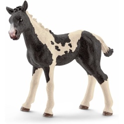 Pinto Foal by Schliech