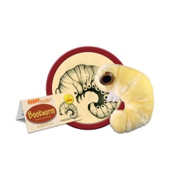 Plush Bookworm by Giant Microbes