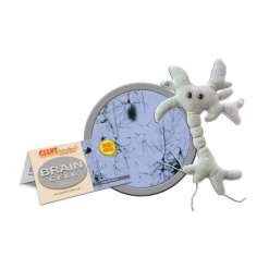 Plush Brain Cell by Giant Microbes