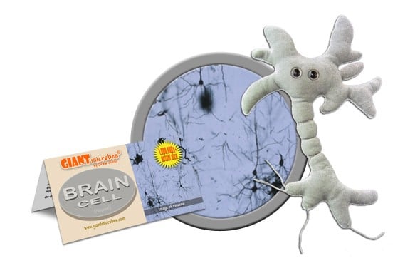 Plush Brain Cell by Giant Microbes Plush Brain Cell by Giant Microbes
