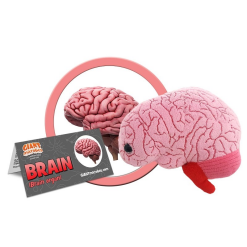 Plush Brain by Giant Microbes