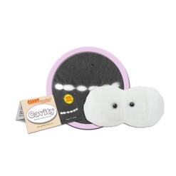 Plush Cavity by Giant Microbes