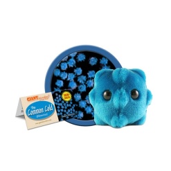 Plush Common Cold by Giant Microbes