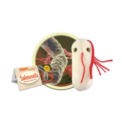 Plush Salmonella by Giant Microbes