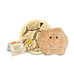 Plush Skin Cell by Giant Microbes