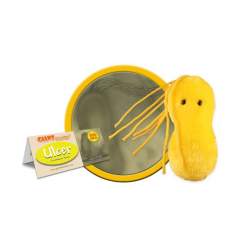 Plush Ulcer by Giant Microbes