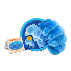 Plush Waterbear by Giant Microbes