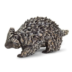 Porcupine by Safari