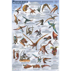 Pterosaurs Laminated Poster by Feenixx